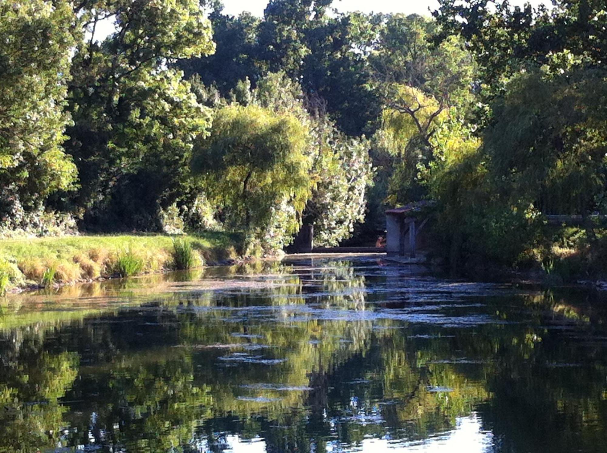 Отель La Ferme Du Marais Poitevin - Roulotte Benet Экстерьер фото